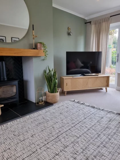 Living room with rug and fire
